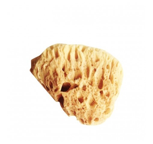 ESPONJA 100%NATURAL NATURCOSMETIKA
