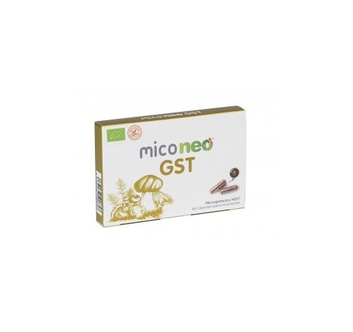 MICONEO GST