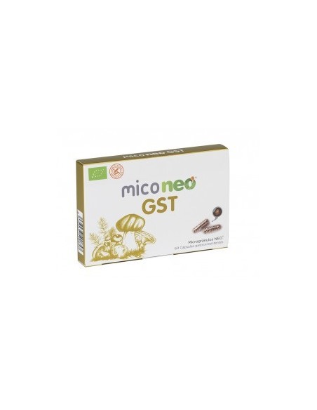 MICONEO GST