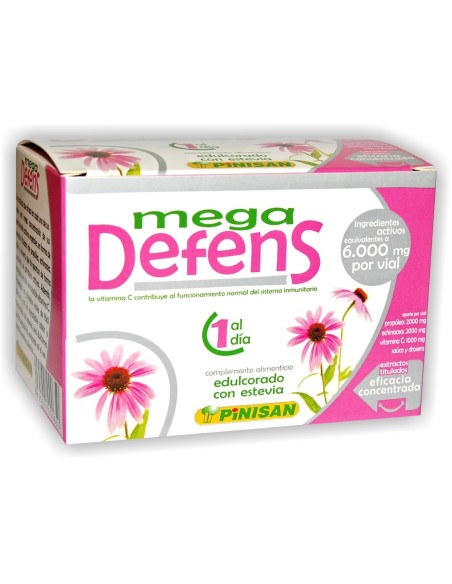MEGADEFENS PINISAN