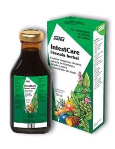 INTESTCARE 250 ml SALUS