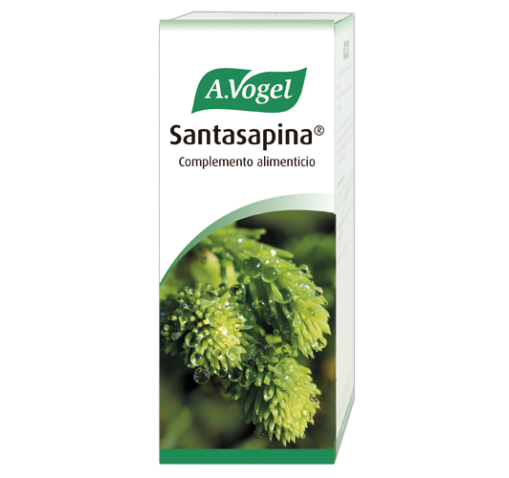 SANTASAPINA A.VOGEL