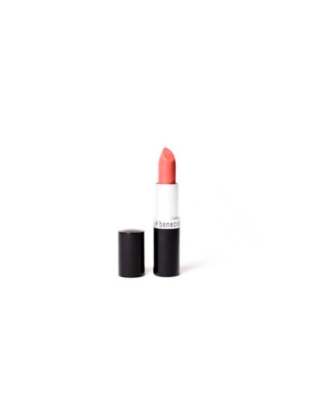 BARRA LABIOS BIO PINK HONEY BENECOS