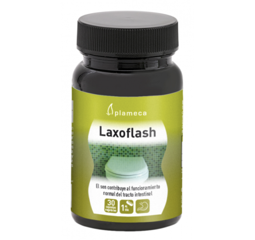 LAXOFLASH - PLAMECA