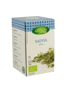 Salvia Artemis
