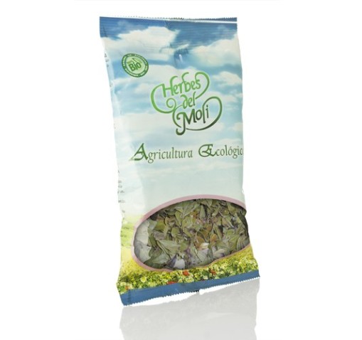 GAYUBA HOJAS HERBES MOLLI