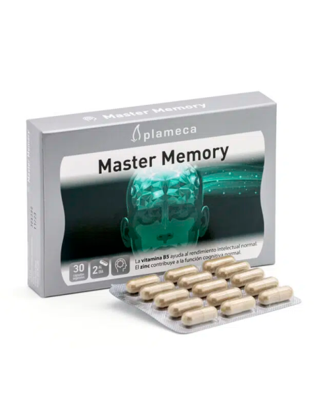 Master Memory - Plameca