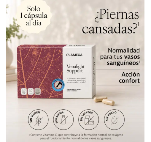 VENALIGHT SUPPORT - PLAMECA