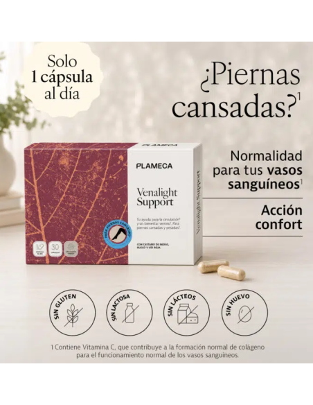 VENALIGHT SUPPORT - PLAMECA