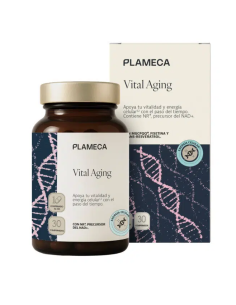 Vital Aging - Plameca