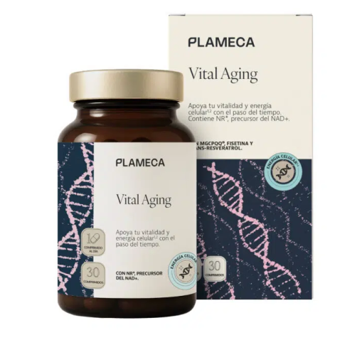 Vital Aging - Plameca