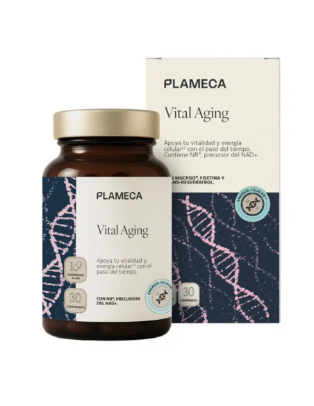 Vital Aging - Plameca