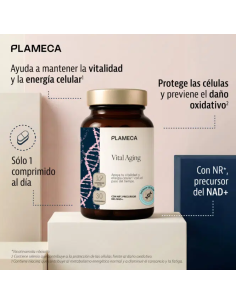 Vital Aging - Plameca 2