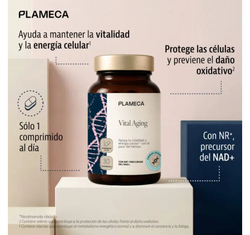 Vital Aging - Plameca