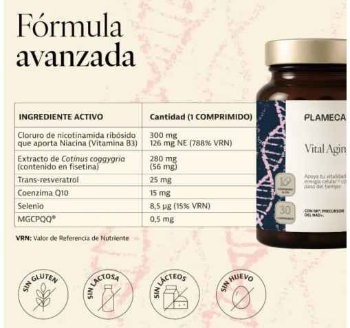 Vital Aging - Plameca