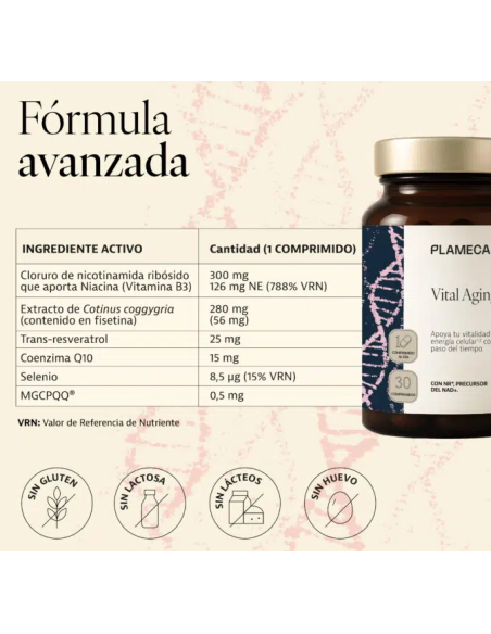 Vital Aging - Plameca
