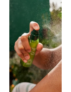 Aceite seco ultraligero Skin Food - Weleda 2