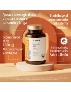 Vitamina B12 - Plameca