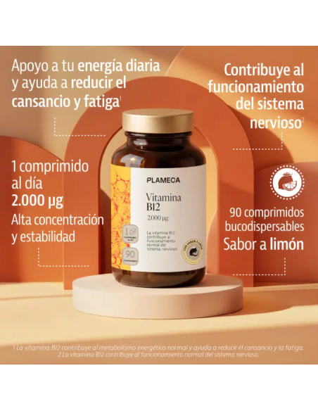 Vitamina B12 - Plameca