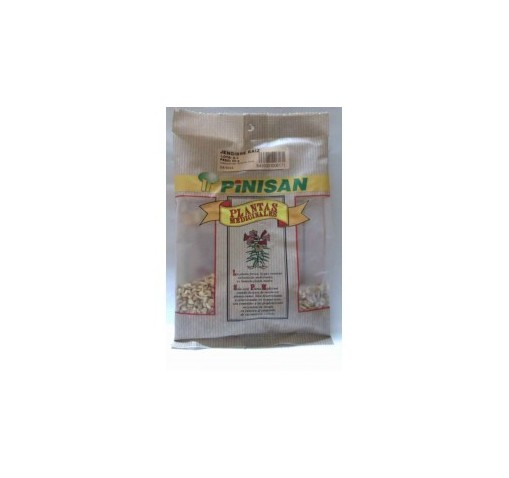 JENGIBRE RAIZ 50g PINISAN