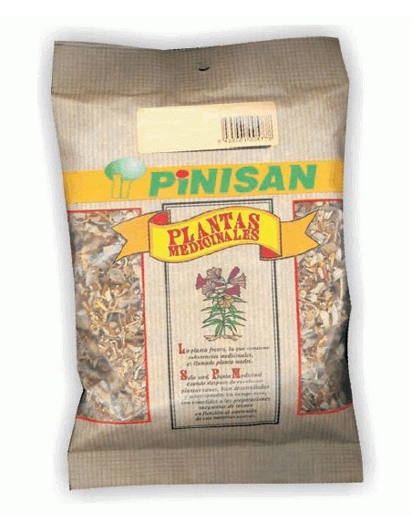 CARDO MARIANO PLANTA BIO 40 GR PINISAN